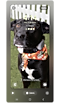 Imagen de un perro negro establecida como fondo de pantalla