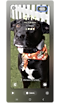 Imagen de un perro negro establecida como fondo de pantalla