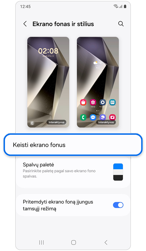 Ekrano fono ir stiliaus individualaus pritaikymo parinktys