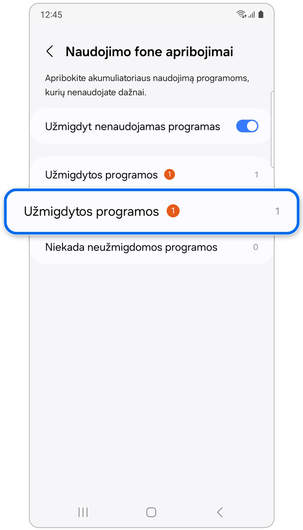 Meniu „Naudojimo fone apribojimai“, parinktis „Užmigdytos programos“