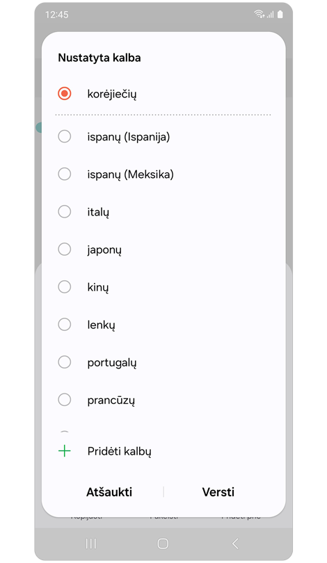 Iškylantysis langas su kalbų parinktimis