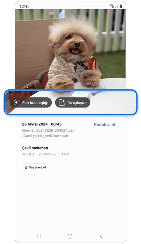 Təklif olunan redaktə xüsusiyyətləri ilə itin şəkli