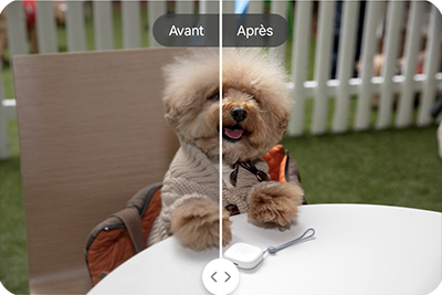 Écran montrant l'utilisation de l’outil Remastériser avec la photo d'un chien