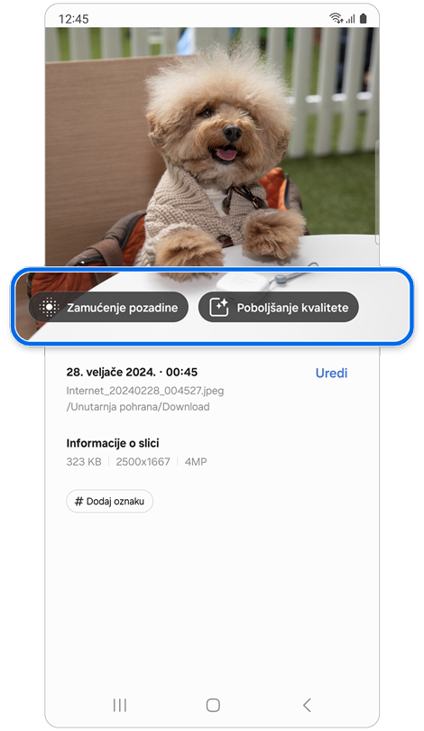 Fotografija psa sa predloženim značajkama za uređivanje