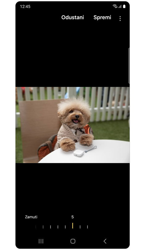 Zaslon koji prikazuje primjenu zamućenja pozadine na fotografiji psa.