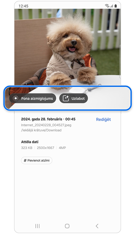 Suņa fotoattēls ar ieteiktajām rediģēšanas funkcijām
