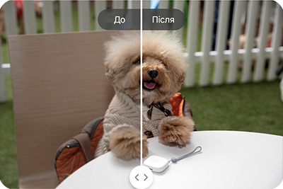 Екран із застосуванням функції Покращити до фотографії собаки