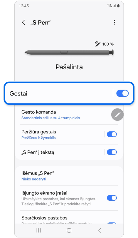 „S Pen“ nustatymų ekranas