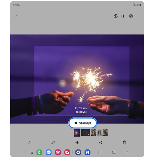 GIF įrašymo sustabdymo mygtukas.