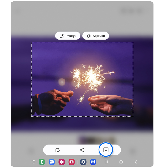 GIF peržiūros puslapis