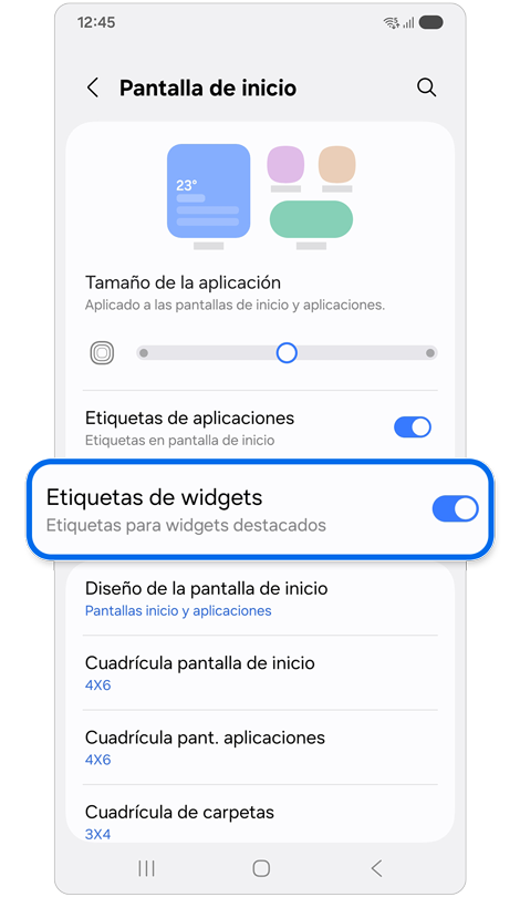 Ajustes de la pantalla de inicio.