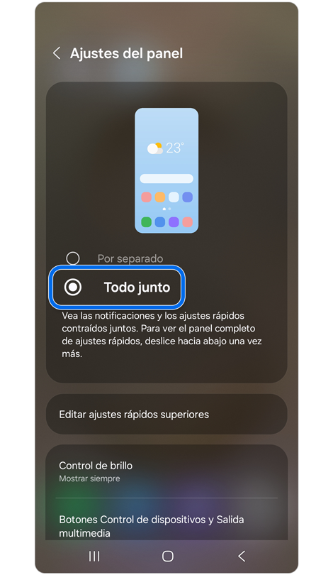Pantalla de ajustes del panel.