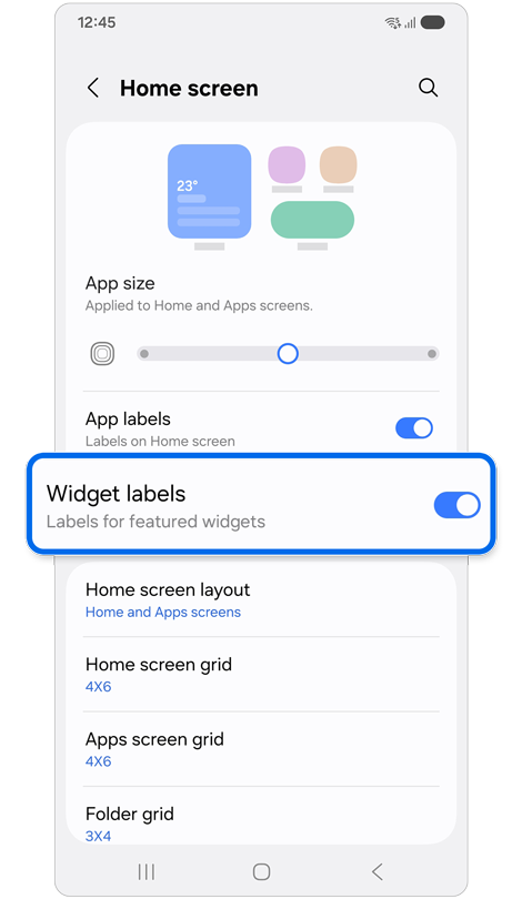 App and widget style settings.