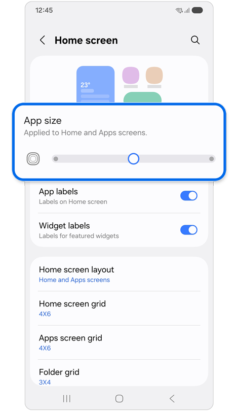 App and widget style settings.