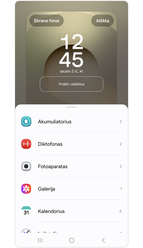 Glaustųjų valdiklių parinktys.