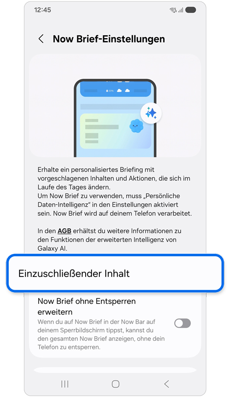 Einzuschließender Inhalt ist in den Optionen der Now Brief-Einstellungen markiert.