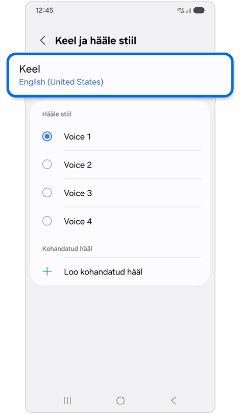 Keele ja hääle stiili seadete leht Samsungi seadmel.