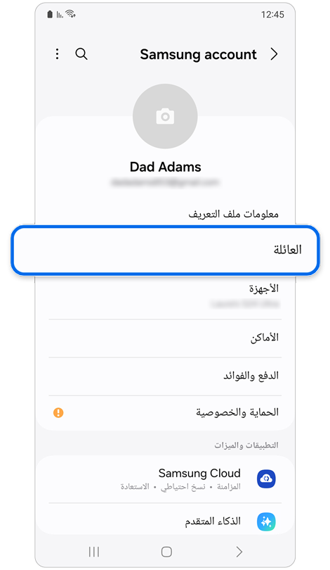 الصفحة الرئيسية للإعدادات