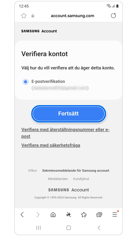 Alternativ för verifieringsmetod.
