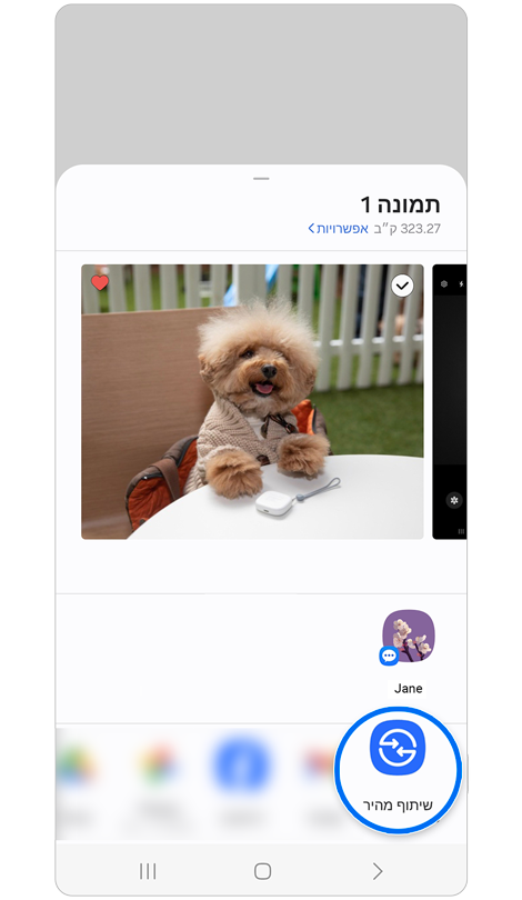 אייקונים של אפליקציות שיכולות לשתף תמונה ותמונה של כלב קטן.