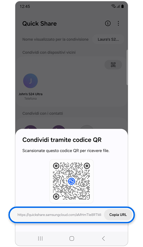 Finestra popup con codice QR e URL.
