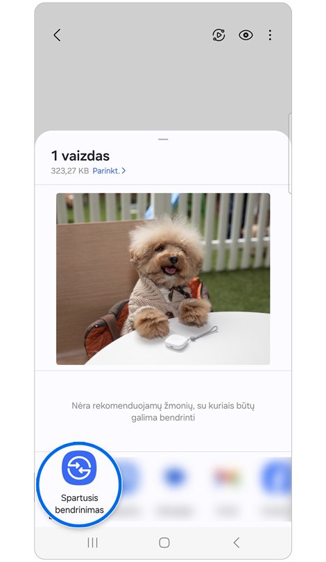 Programėlių, kurios gali bendrinti vaizdą, piktogramos ir nuotrauka su mažu šuniuku.
