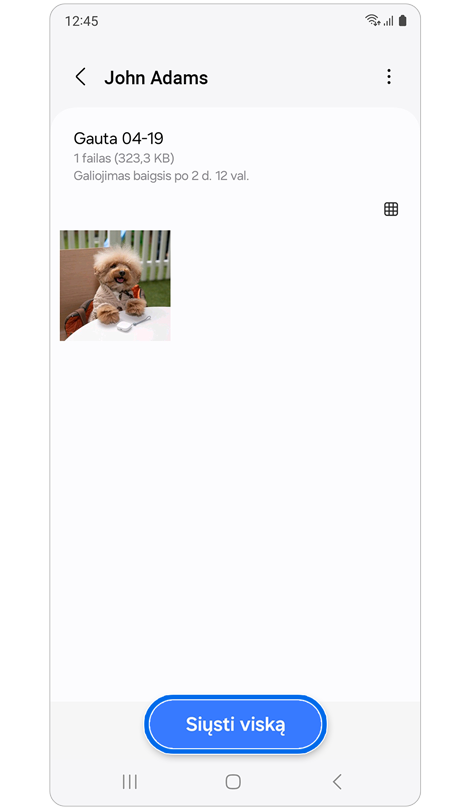 Bendrinamas failas, paruoštas atsisiųsti.