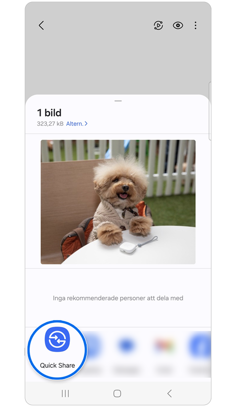 Ikoner för appar som kan dela en bild och ett foto på en liten hund.