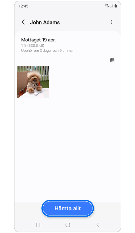 Mottagarens telefon visar alla filer som mottagits och är redo att ladda ner.
