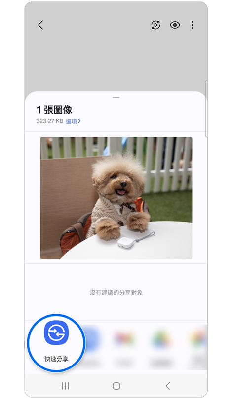 可以共享小狗圖像和照片的應用程式圖示。
