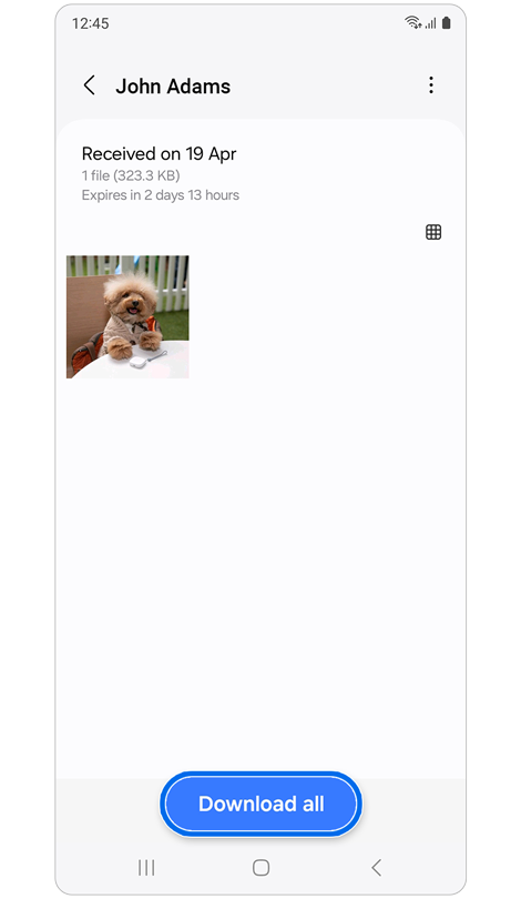 Recipient’s phone showing all files received and ready to download.