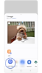 Icons of apps that can share an image and a photo of a small dog.