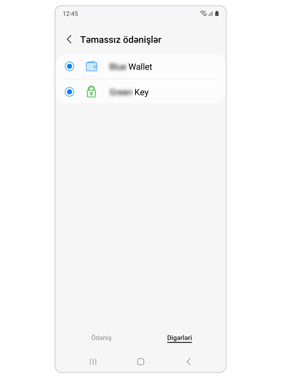 Digərləri tabında ödəniş proqramları.