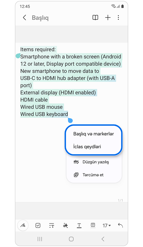 Avtomatik format seçimləri ilə ikinci açılan pəncərə