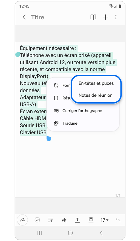 Fenêtre contextuelle avec les options de formatage automatique