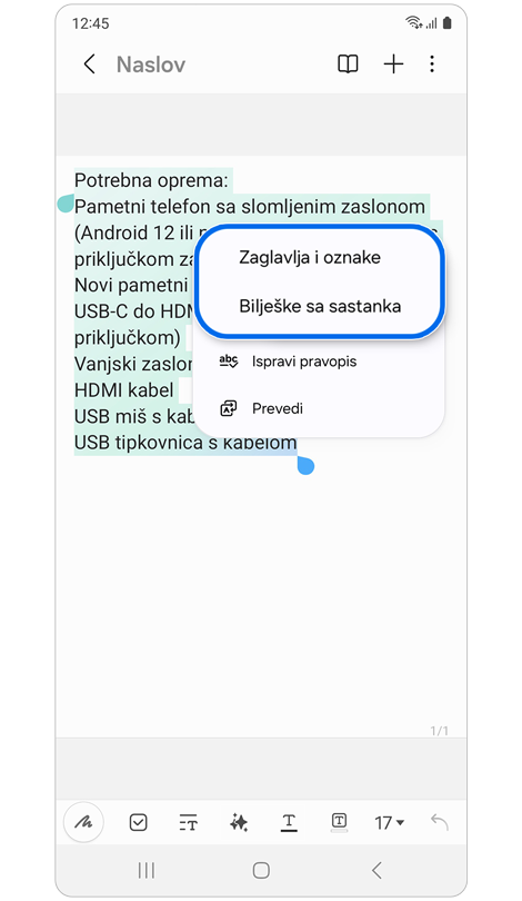 Sekundarni skočni prozor s opcijama za Automatsko formatiranje
