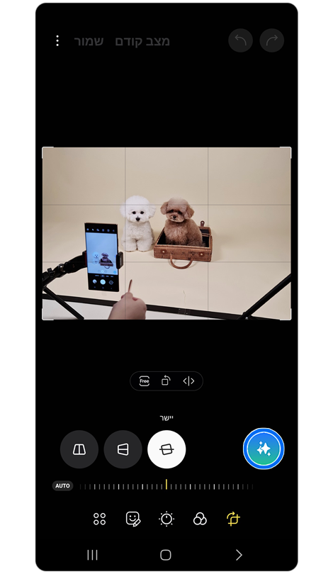 דף הבית של תכונת העריכה