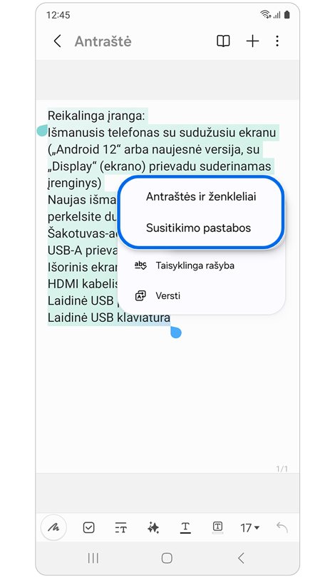 Antrinis iškylantysis langas su automatinio formatavimo parinktimis