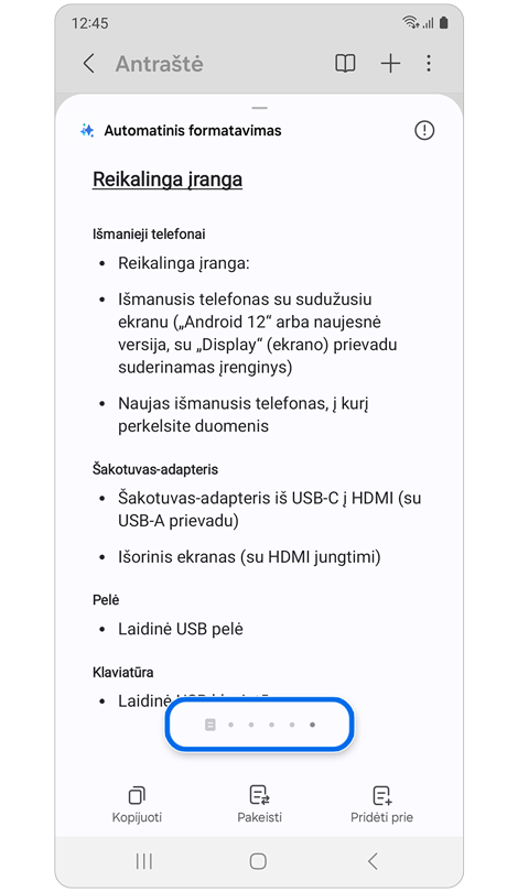 Automatiškai suformatuota pastaba su paryškintomis antraštėmis