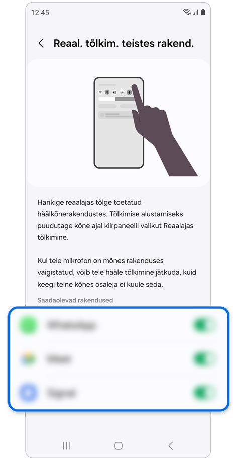 Reaal. tõlkim. teistes rakend. seadete ekraan