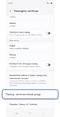 Tiesioginio vertimo nustatymų ekranas
