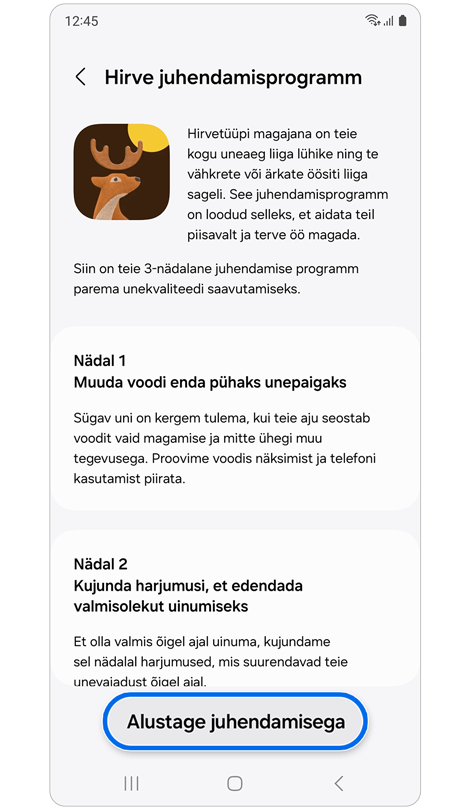 Individualiseeritud juhendamisprogrammi teave.