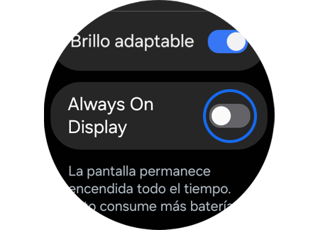 Interruptor “Always On Display”.