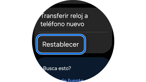 Opción “Restablecer” en “General”.