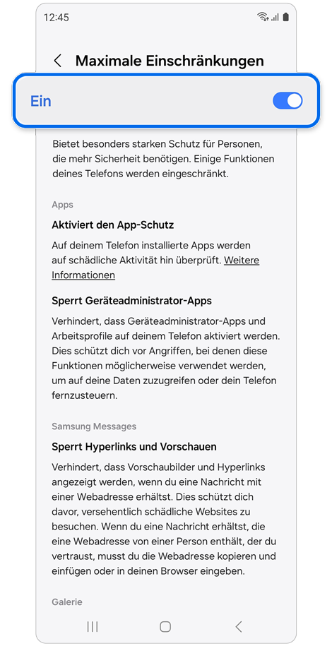 Einstellungen der Maximalen Einschränkungen