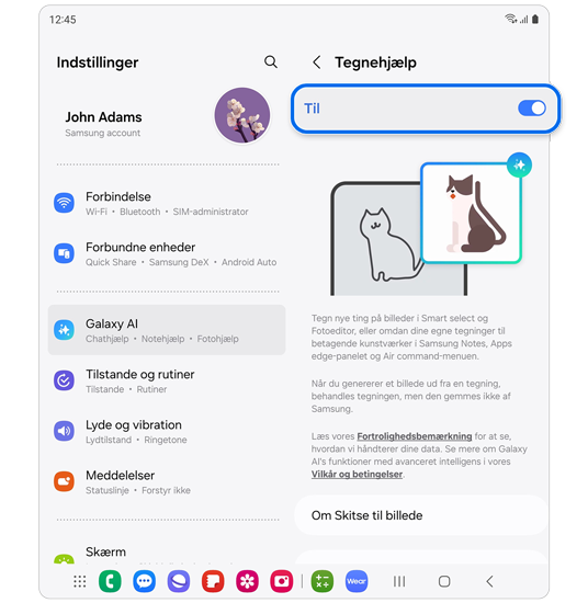 Indstillinger for Tegnehjælp.