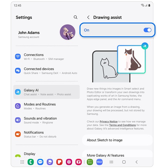 Drawing assist settings.
