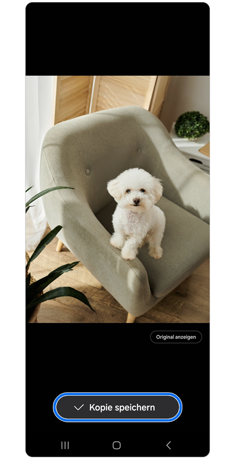 Bild eines welpe im Fotobearbeitungsfenster