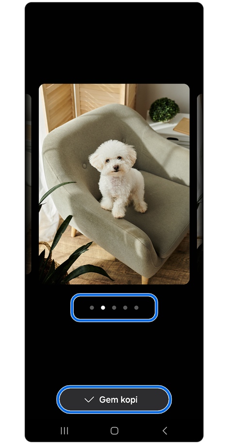 hundehvalpskitsen blev til et rigtigt hundehvalpbillede