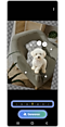Afbeelding van een pup in het fotobewerkingspaneel